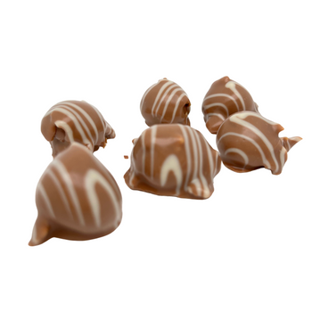 Macadamia Nuss in Vollmilch-Schokolade von weißer Schokolade überzogen